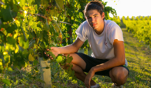 Sito Marchesi di Ravarino - dettaglio 4