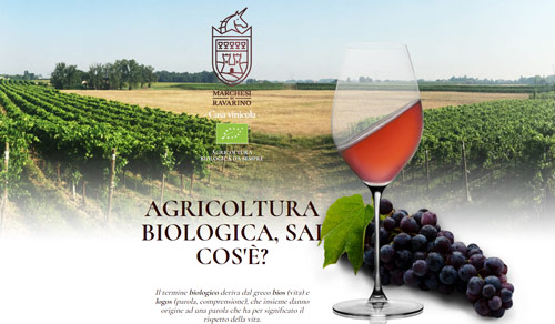 Sito Marchesi di Ravarino - dettaglio 6